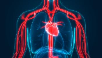 انواع روش های تشخیص بیماری قلبی