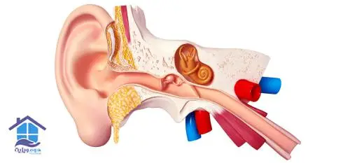 اختلال عملکرد لوله استاش