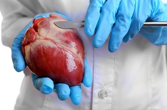 فیزیوتراپی بعد از جراحی قلب چه ضرورتی دارد؟