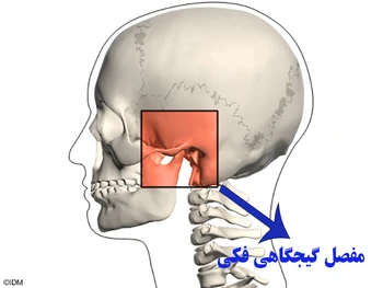 تمرینات فیزیوتراپی برای درد مفصل فک (مفصل گیجگاهی فکی)